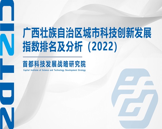 用鸡巴插进逼里视频【成果发布】广西壮族自治区城市科技创新发展指数排名及分析（2022）